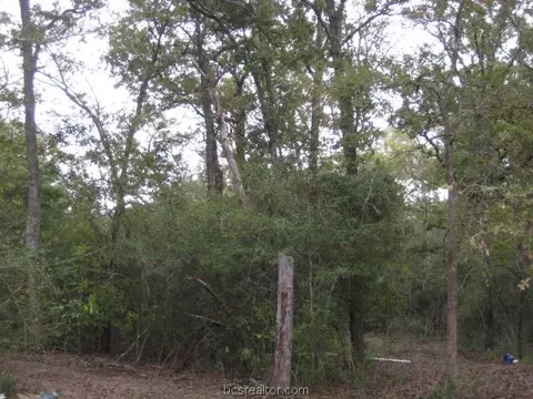 9179 Hensarling Ln, Bryan, TX 77808 photo 16