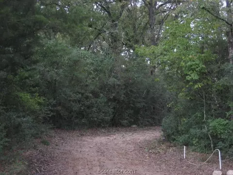 9179 Hensarling Ln, Bryan, TX 77808 photo 1