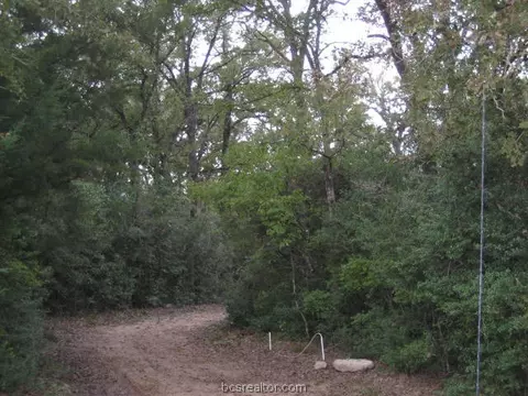 9179 Hensarling Ln, Bryan, TX 77808 photo 15