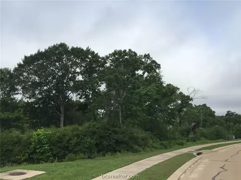 3317 Emory Oak Dr, Bryan, TX 77807 photo 10