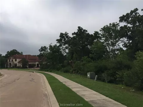 3317 Emory Oak Dr, Bryan, TX 77807 photo 6