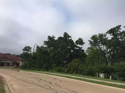 3317 Emory Oak Dr, Bryan, TX 77807 photo 4