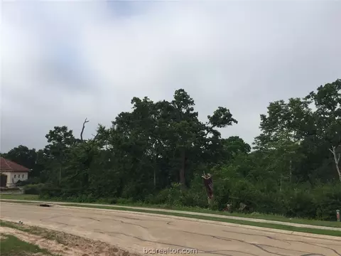 3317 Emory Oak Dr, Bryan, TX 77807 photo 5