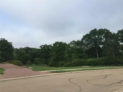 3317 Emory Oak Dr, Bryan, TX 77807 photo 1