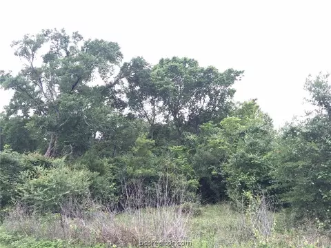 3317 Emory Oak Dr, Bryan, TX 77807 photo 8