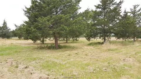 15590 Pine Tree Rd, Bryan, TX 77808 photo 25