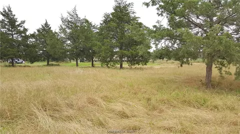 15590 Pine Tree Rd, Bryan, TX 77808 photo 32