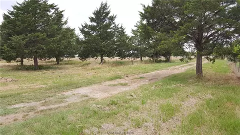 15590 Pine Tree Rd, Bryan, TX 77808 photo 24