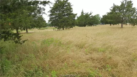 15590 Pine Tree Rd, Bryan, TX 77808 photo 28