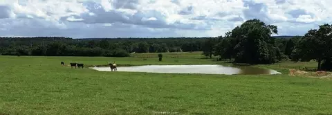 10322 Gourd Neck Rd, Franklin, TX 77856 photo 3