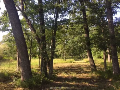 9845 Weedon Loop, Bryan, TX 77808 photo 16