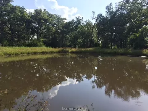 9845 Weedon Loop, Bryan, TX 77808 photo 15