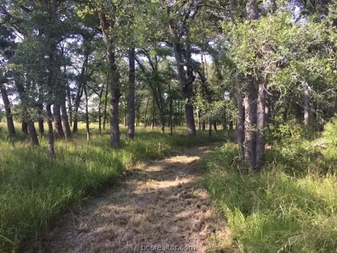 9845 Weedon Loop, Bryan, TX 77808 photo 18