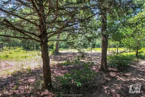 12994 Jackrabbit Ln, Bryan, TX 77808 photo 17