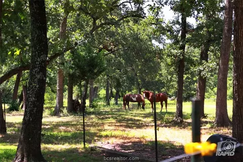 12994 Jackrabbit Ln, Bryan, TX 77808 photo 18