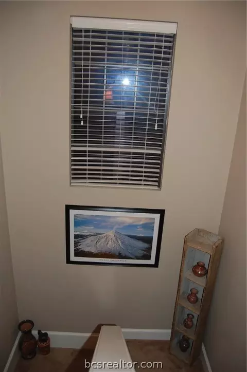 1982 Mountain Wind Ct, Bryan, TX 77807 photo 32
