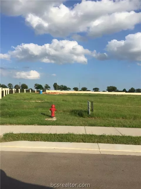 4691 S Stonecrest Ct, Bryan, TX 77808 photo 3