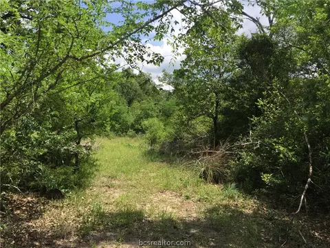 8774 Green Br, Bryan, TX 77808 photo 15