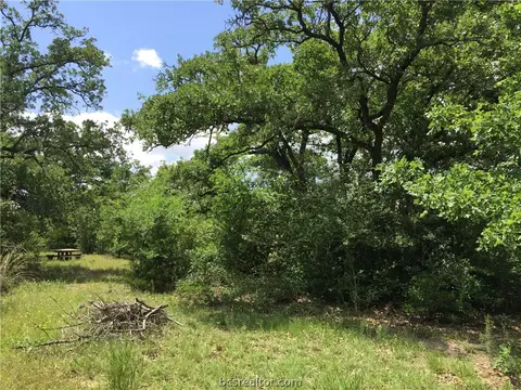 8774 Green Br, Bryan, TX 77808 photo 18