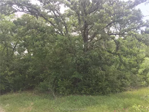 8774 Green Br, Bryan, TX 77808 photo 10