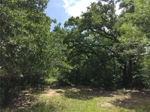 8774 Green Br, Bryan, TX 77808 photo 19