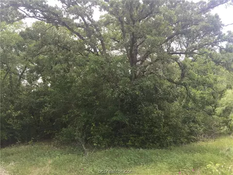 8774 Green Br, Bryan, TX 77808 photo 9