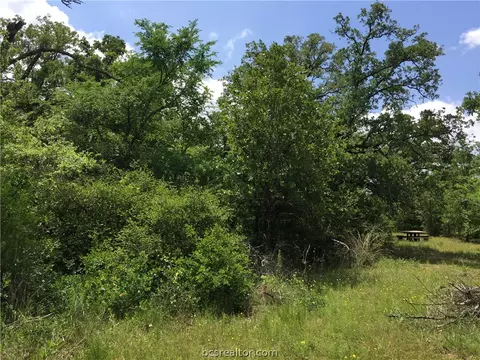 8774 Green Br, Bryan, TX 77808 photo 17