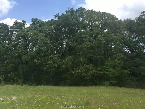 8774 Green Br, Bryan, TX 77808 photo 2