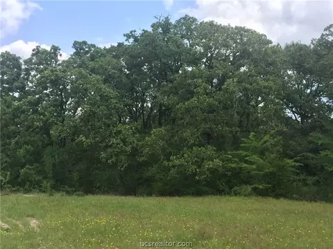 8774 Green Br, Bryan, TX 77808 photo 3