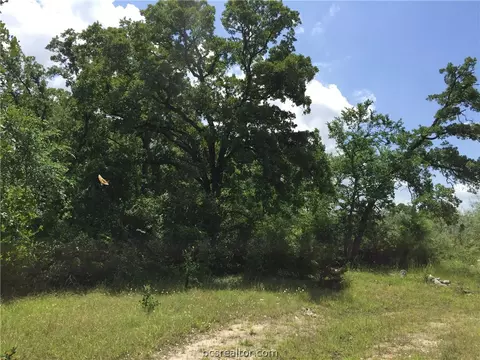 8774 Green Br, Bryan, TX 77808 photo 16