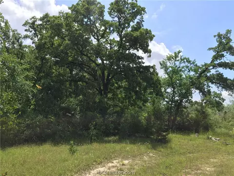 8774 Green Br, Bryan, TX 77808 photo 22