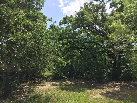 8774 Green Br, Bryan, TX 77808 photo 20