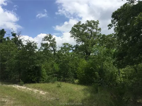 8774 Green Br, Bryan, TX 77808 photo 12