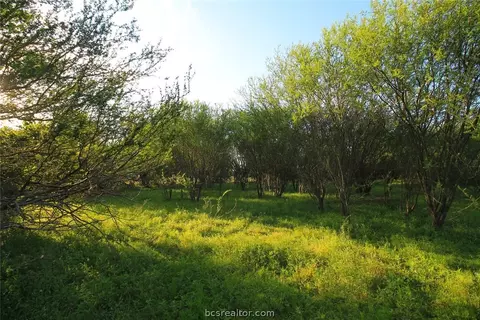 3620 Stevens Dr, Bryan, TX 77808 photo 23
