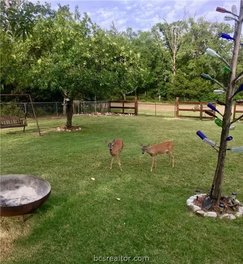 300 Elm Loop, Somerville, TX 77879 photo 20