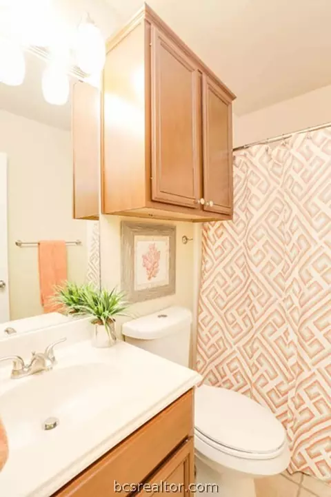 4603 Bluejay Ln, Bryan, TX 77803 photo 12