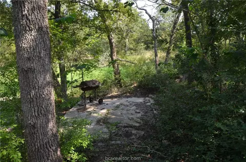 116 Hill Loop Rd, Somerville, TX 77879 photo 4