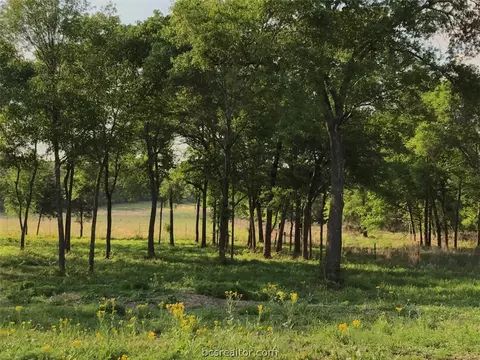 10235 Calhoun Rd, Bryan, TX 77808 photo 26