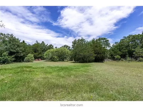 9321 Green Branch Loop, Bryan, TX 77808 photo 20