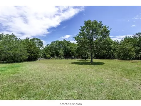 9321 Green Branch Loop, Bryan, TX 77808 photo 19