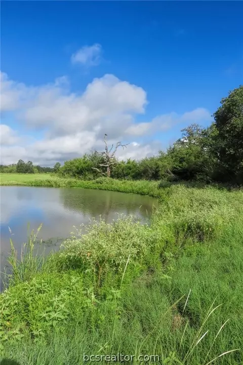 4600 Leonard Rd, Bryan, TX 77807 photo 6