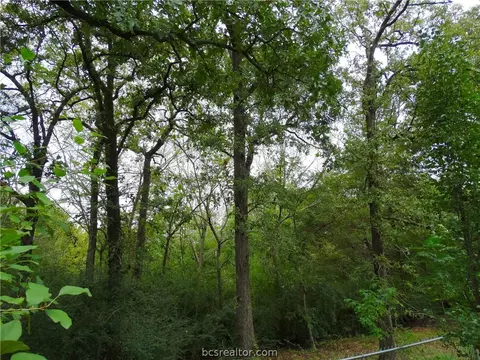 3202 Wilderness Rd, Bryan, TX 77807 photo 38
