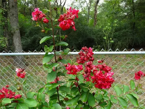 3202 Wilderness Rd, Bryan, TX 77807 photo 39