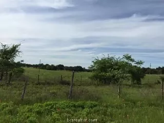 Lot 4 340 County Road N Lot 4, Franklin, TX 77856