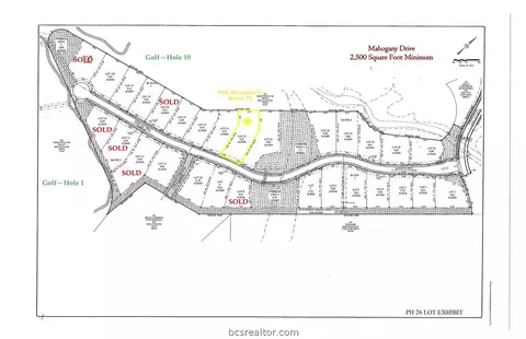 3436 Mahogany Dr, Bryan, TX 77807 photo 3