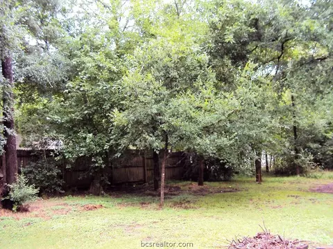 1291 Colwell Ct, Bryan, TX 77807 photo 37