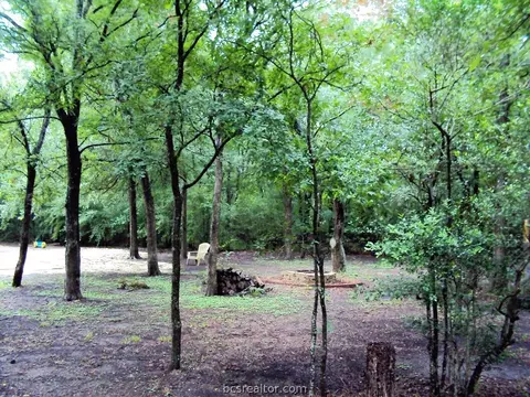 1291 Colwell Ct, Bryan, TX 77807 photo 39