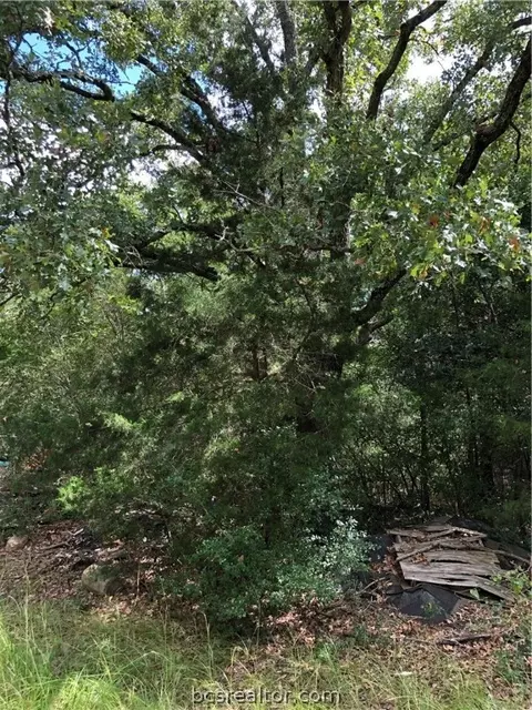 9999 Koppe Bridge Rd, College Station, TX 77845