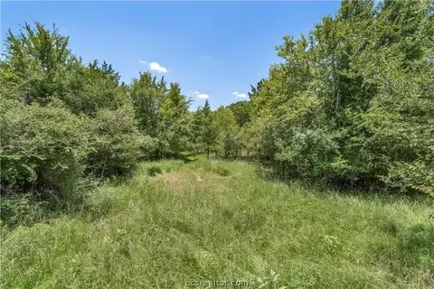 8031 Grassbur Rd, Bryan, TX 77808 photo 16