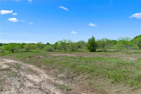 1402 Mathis Branch Ct, Bryan, TX 77808 photo 10